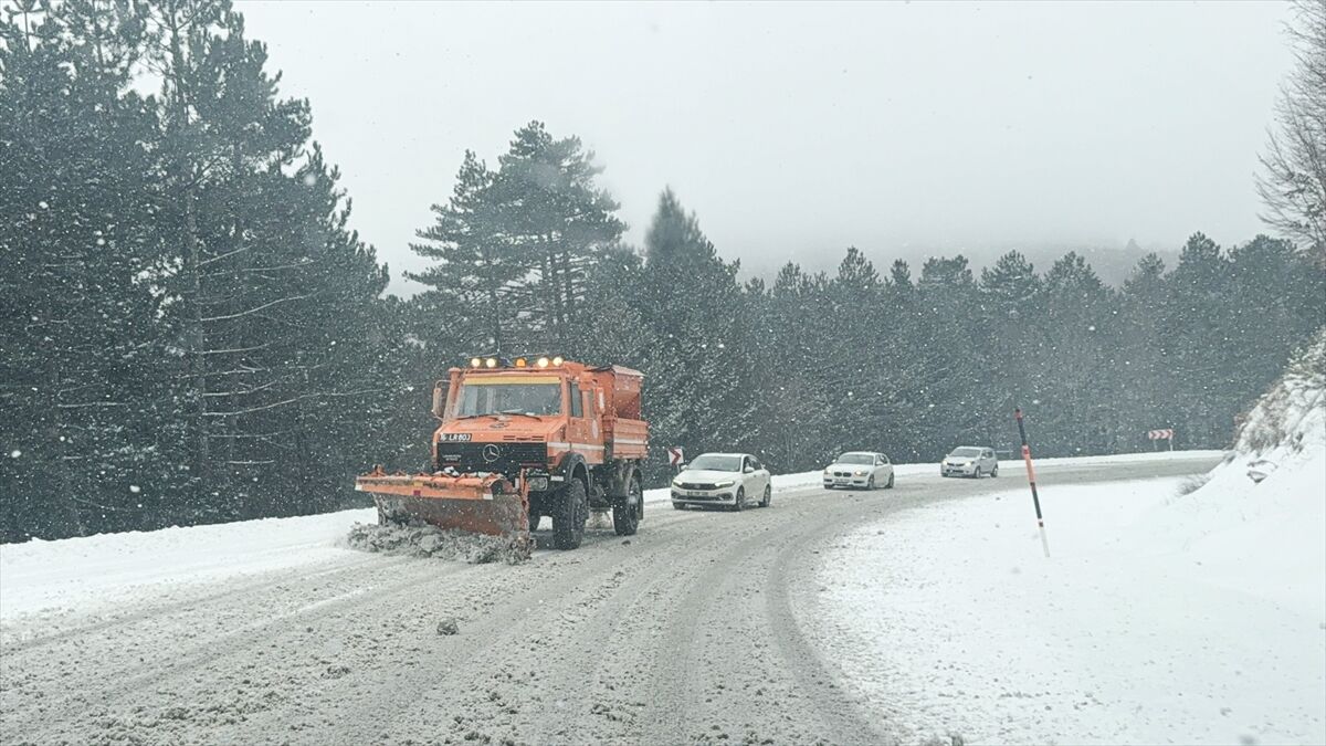 A A 20251227 40090814 40090811 D O M A N I C D A G L A R I A G I R T O N A J L I A R A C T R A F I G I N E K A P A T I L D I