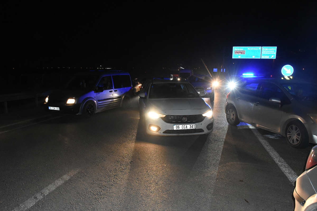 Malatya'da Aracın Çarptığı 6 Safkan Arap Tayı Telef Oldu 2