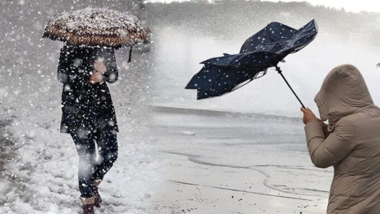 Yeni Proje 50 Qwms Cover