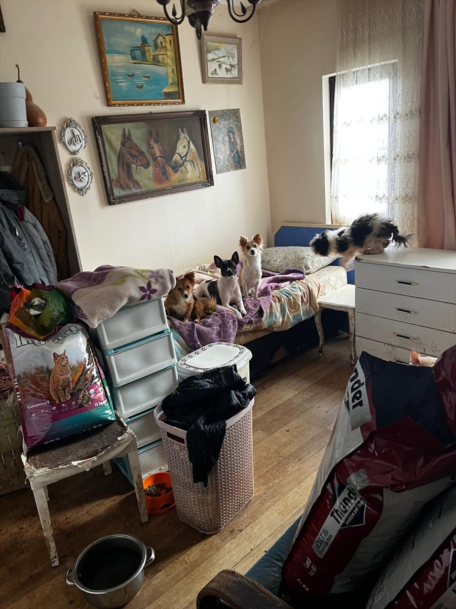 A A 20260105 40165417 40165416 K O C A E L I D E B I R E V D E K O T U K O S U L L A R D A T U T U L A N 55 H A Y V A N K O R U M A A L T I N A A L I N D I