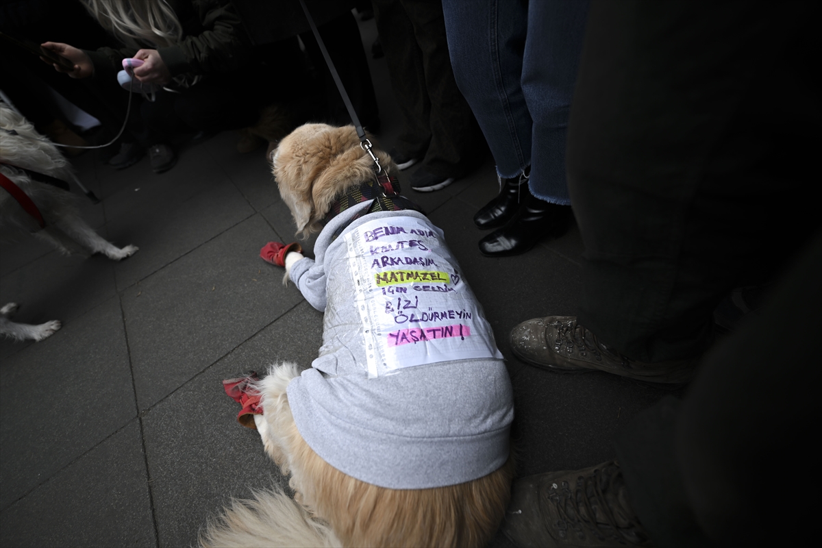 A A 20260107 40186844 40186838 A N K A R A D A B I R K O P E G I N M E T R O D A D A R P E D I L E R E K O L D U R U L D U G U I D D I A S I U Z E R I N E P R O T E S T O D U Z E N L E N D I