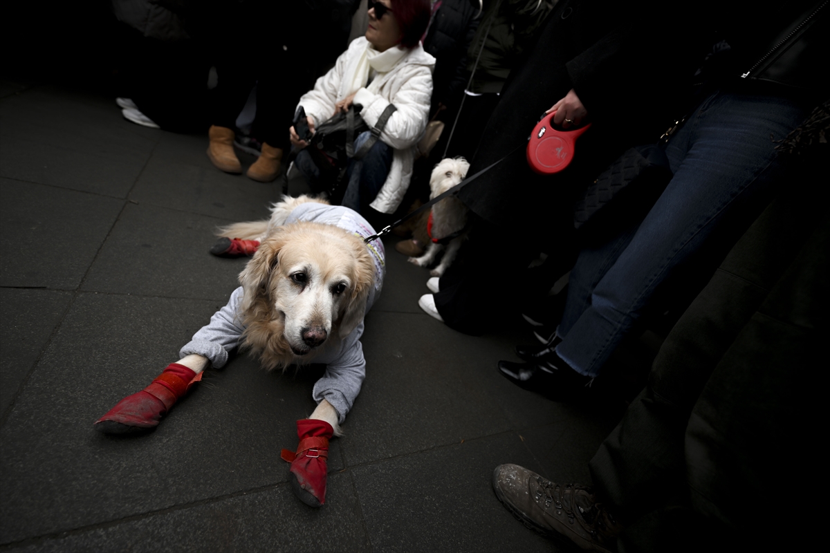 A A 20260107 40186844 40186840 A N K A R A D A B I R K O P E G I N M E T R O D A D A R P E D I L E R E K O L D U R U L D U G U I D D I A S I U Z E R I N E P R O T E S T O D U Z E N L E N D I