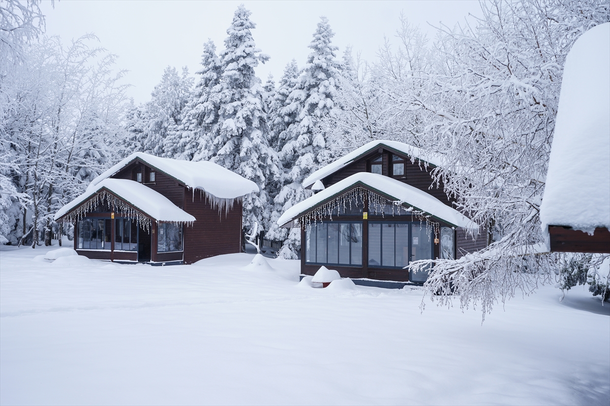 A A 20260114 40248069 40248057 U L U D A G D A K I O T E L L E R Y A R I Y I L T A T I L I N D E Y U Z D E 100 D O L U L U K H E D E F L I Y O R