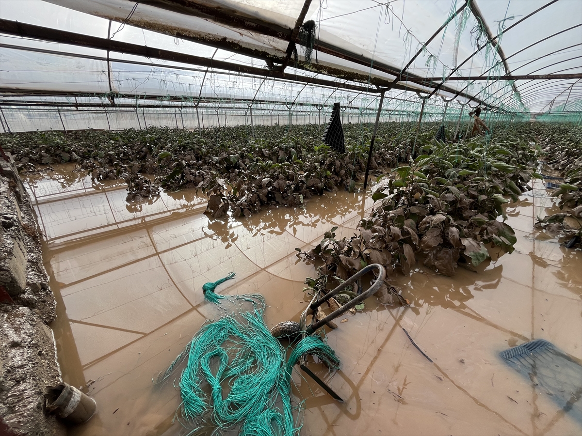 A A 20260123 40344260 40344249 A N T A L Y A D A S A G A N A G I N H A S A R A Y O L A C T I G I K U M L U C A D A T E S P I T C A L I S M A L A R I B A S L A D I