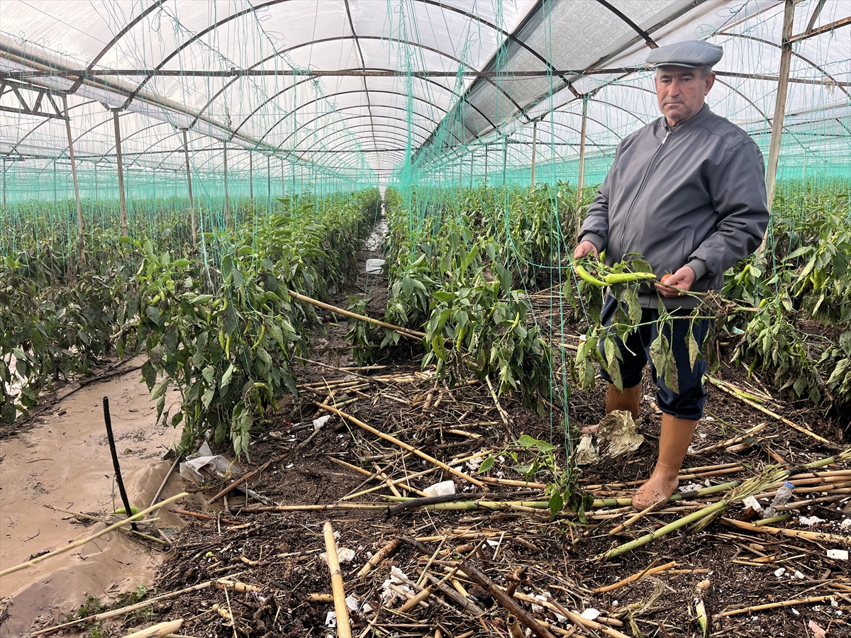 A A 20260123 40344260 40344258 A N T A L Y A D A S A G A N A G I N H A S A R A Y O L A C T I G I K U M L U C A D A T E S P I T C A L I S M A L A R I B A S L A D I