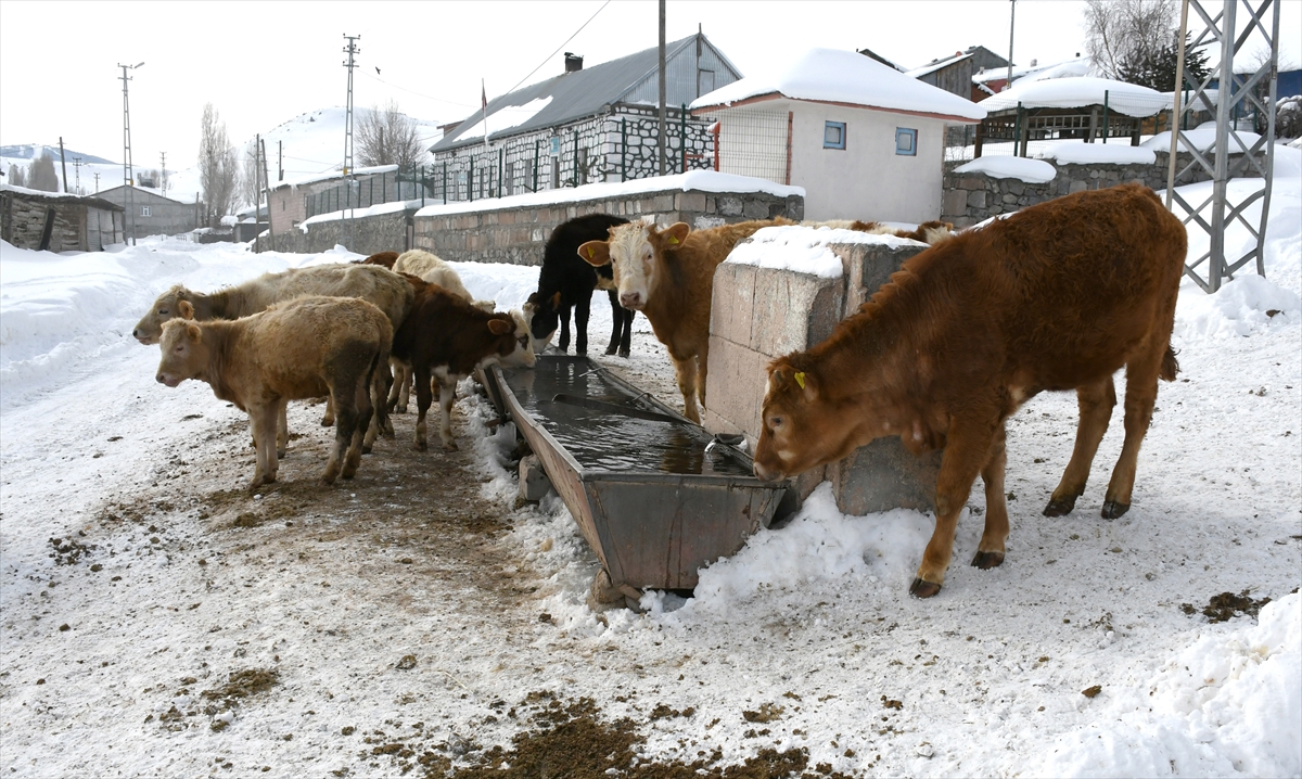 A A 20260124 40351108 40351104 K A R S T A K A R Y A G I S I V E S O G U K H A V A E T K I L I O L D U