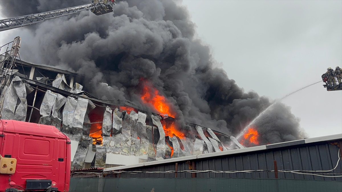 A A 20260131 40417205 40417198 A T A S E H I R D E I S Y E R I N D E C I K A N Y A N G I N A M U D A H A L E E D I L I Y O R