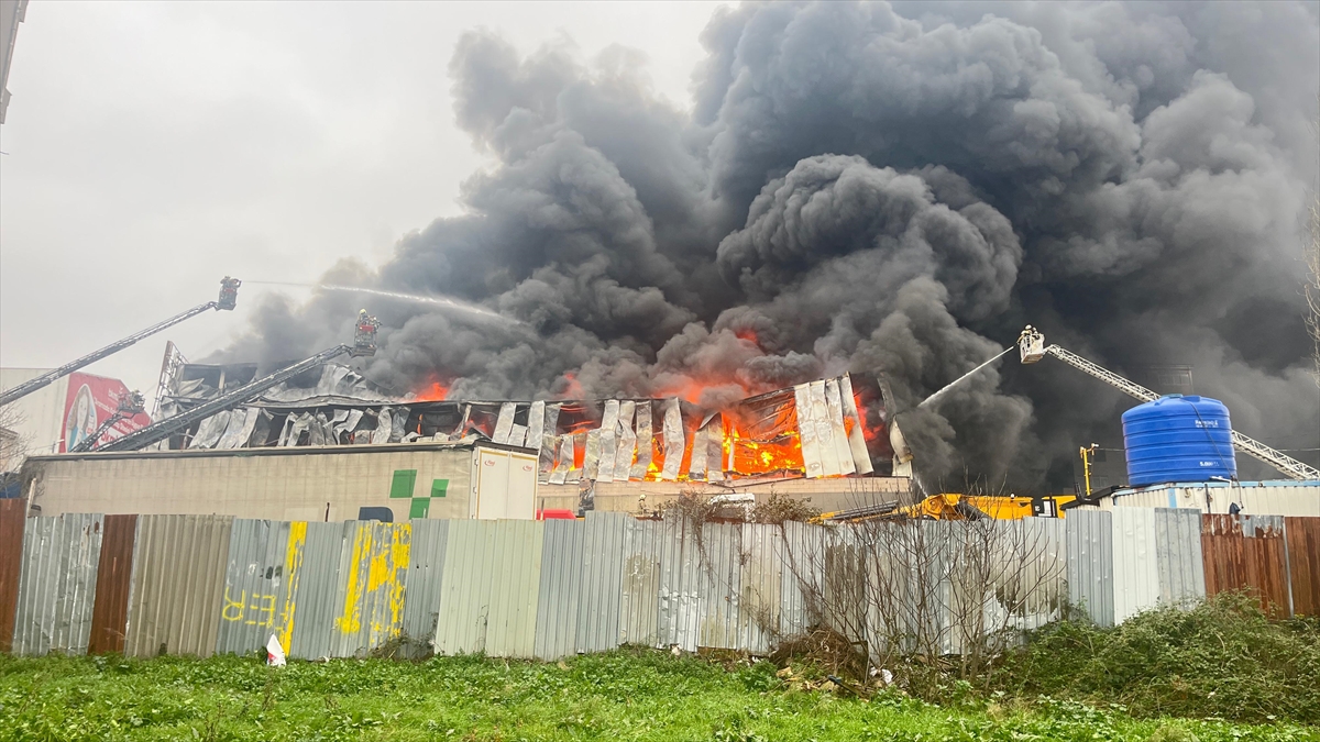 A A 20260131 40417205 40417200 A T A S E H I R D E I S Y E R I N D E C I K A N Y A N G I N A M U D A H A L E E D I L I Y O R