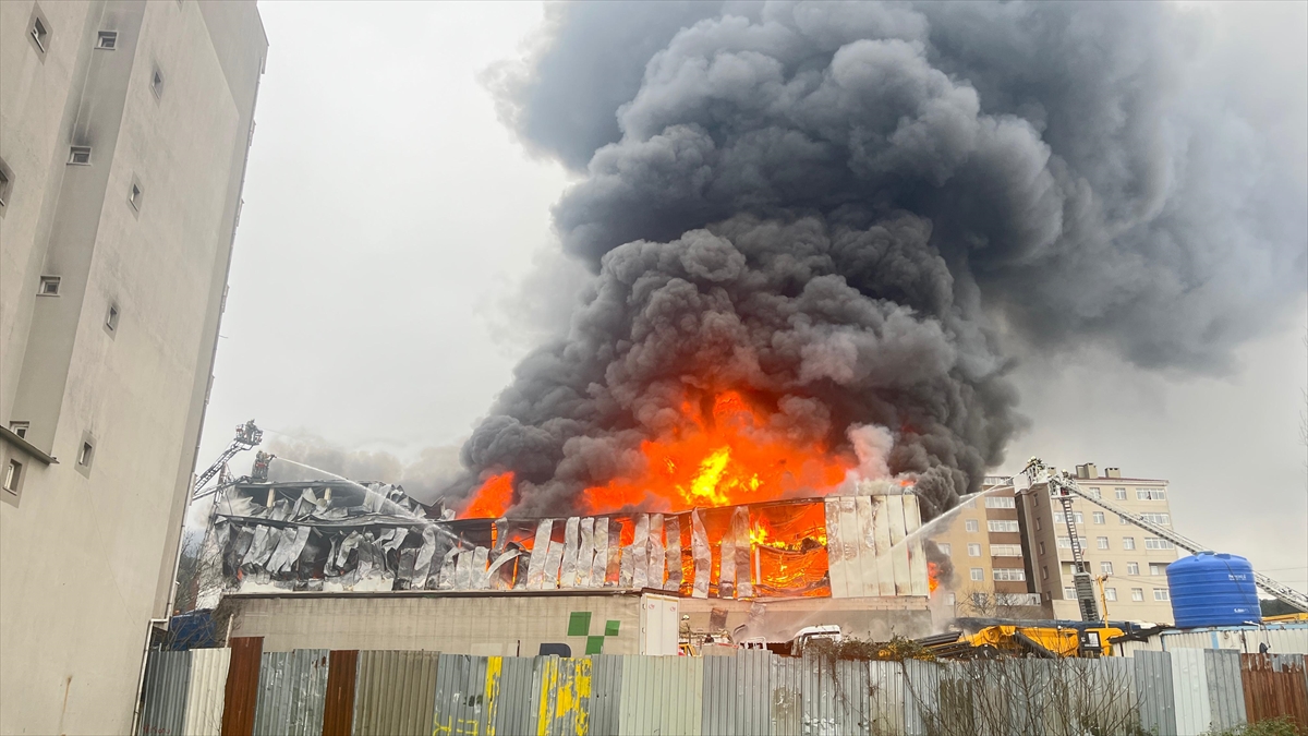 A A 20260131 40417205 40417202 A T A S E H I R D E I S Y E R I N D E C I K A N Y A N G I N A M U D A H A L E E D I L I Y O R