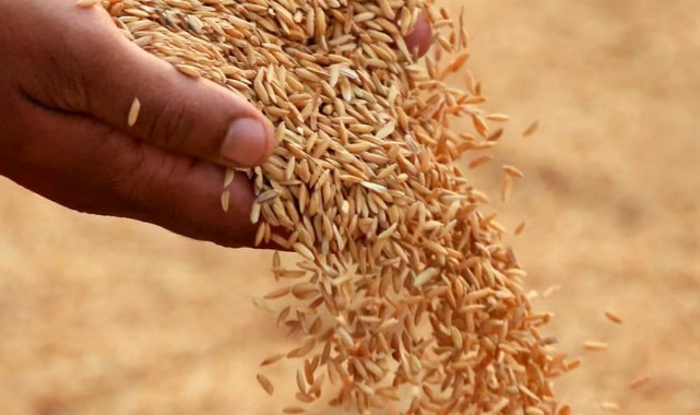 Celtik Fiyati Belli Oldu 4103