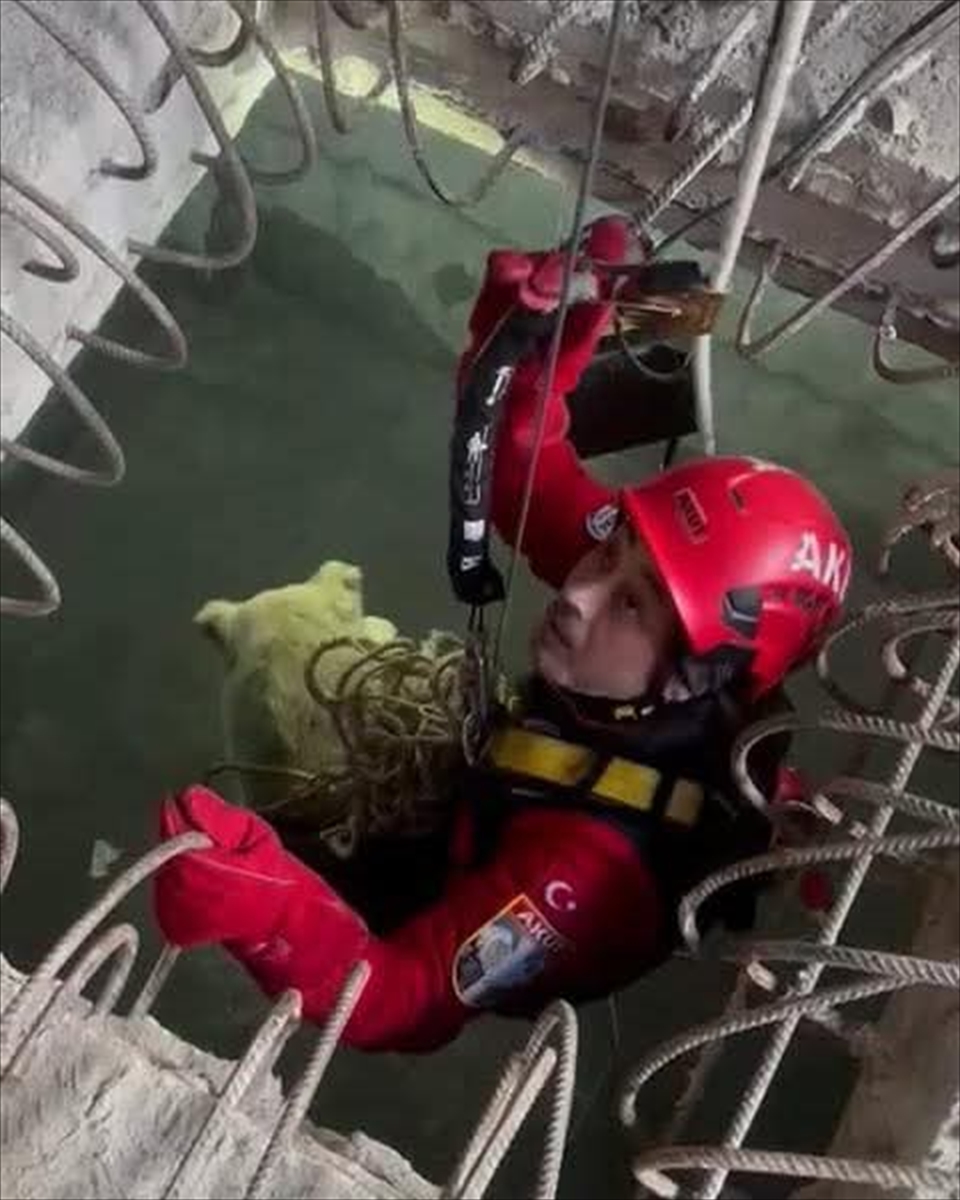 Trabzon'da 7 Metrelik Çukura Düşen Köpeği Akut Ekipleri Kurtardı 1