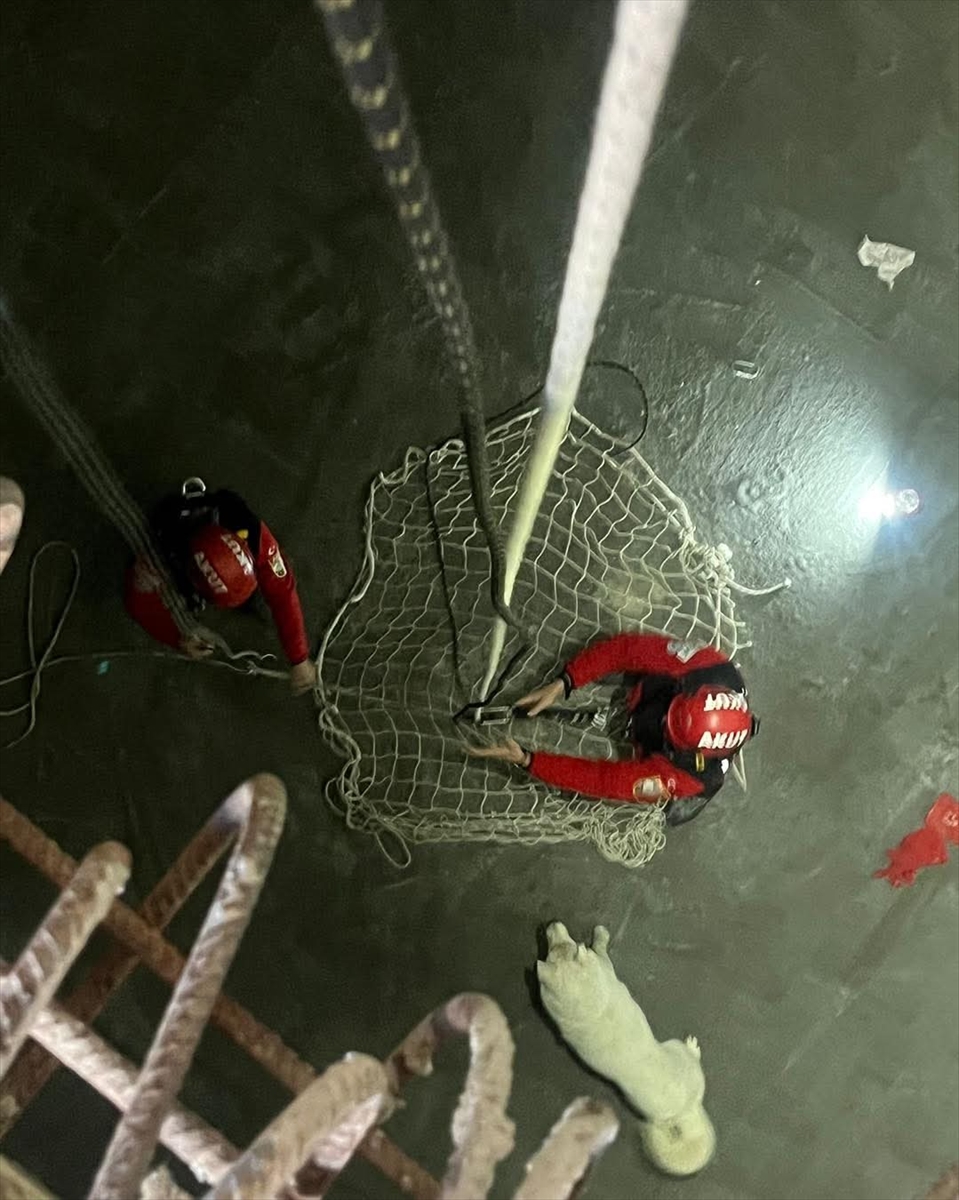 Trabzon'da 7 Metrelik Çukura Düşen Köpeği Akut Ekipleri Kurtardı 3