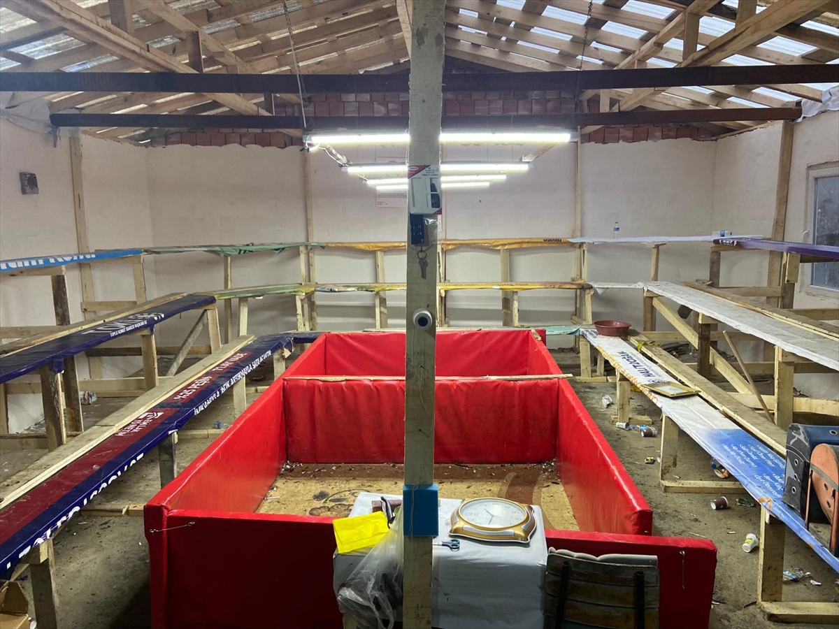 A A 20260202 40433253 40433252 S A M S U N D A H O R O Z D O V U S T U R E N 91 K I S I Y E 1 M I L Y O N 55 B I N L I R A C E Z A V E R I L D I