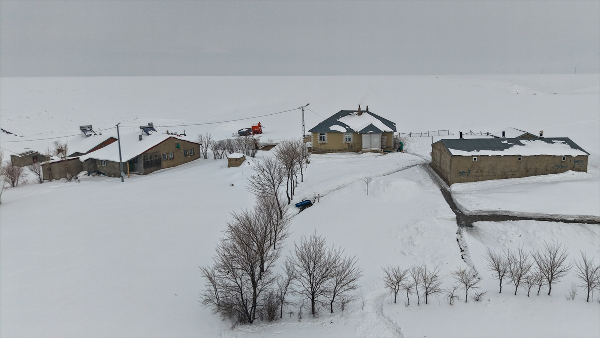 A A 20260202 40434950 40434928 A G R I N I N H A M U R V E T A S L I C A Y I L C E L E R I N E B A G L I K O Y L E R D E Y O G U N K A R Y A G I S I