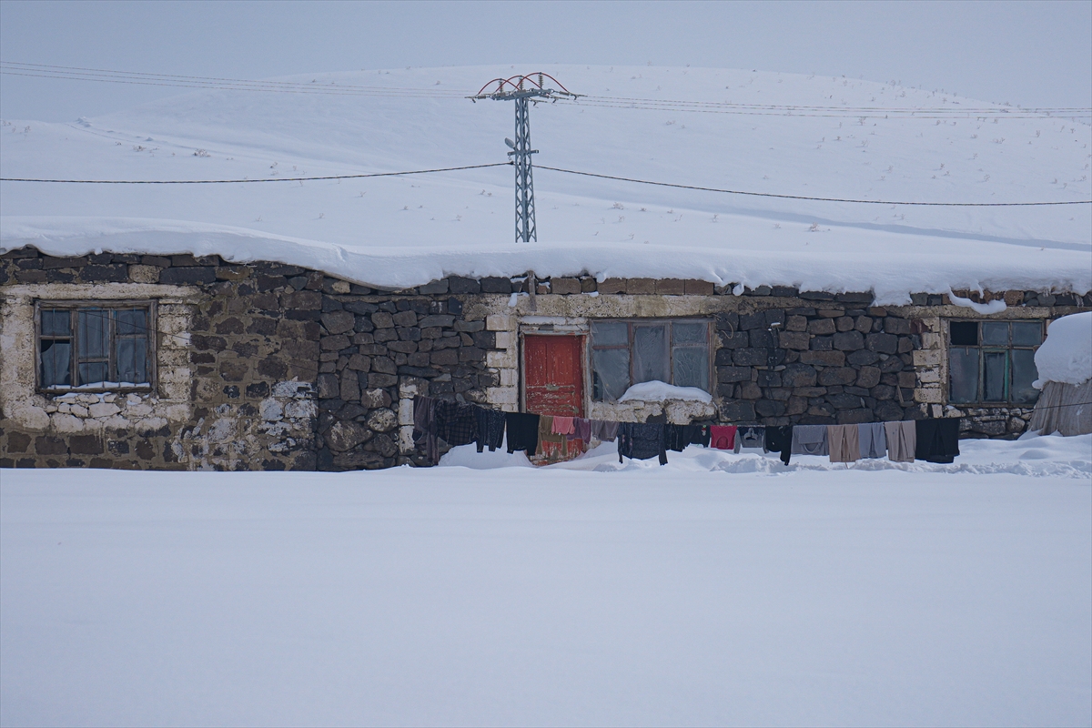 A A 20260202 40434950 40434935 A G R I N I N H A M U R V E T A S L I C A Y I L C E L E R I N E B A G L I K O Y L E R D E Y O G U N K A R Y A G I S I