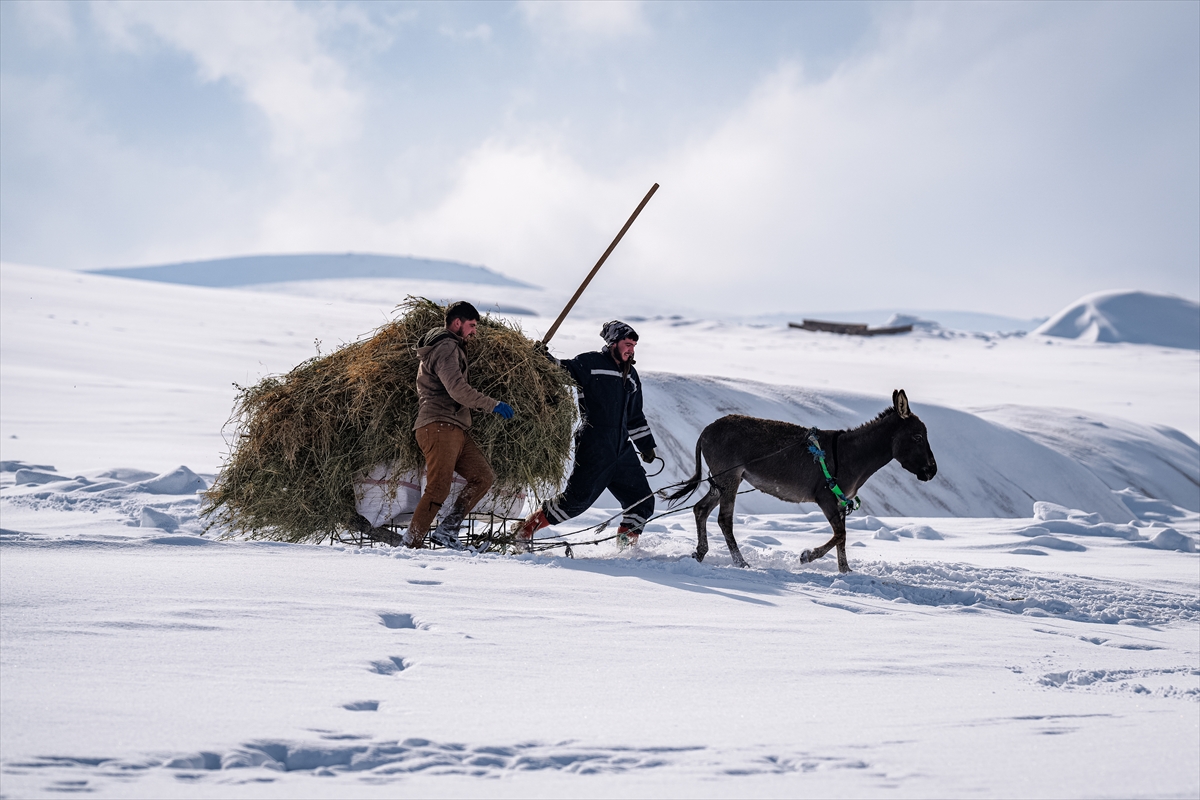 A A 20260202 40434950 40434946 A G R I N I N H A M U R V E T A S L I C A Y I L C E L E R I N E B A G L I K O Y L E R D E Y O G U N K A R Y A G I S I