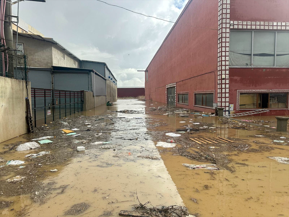 A A 20260207 40484154 40484149 U S A K T A D E R E N I N T A S M A S I S O N U C U T A R I M A R A Z I L E R I N I V E I S Y E R L E R I N I S U B A S T I