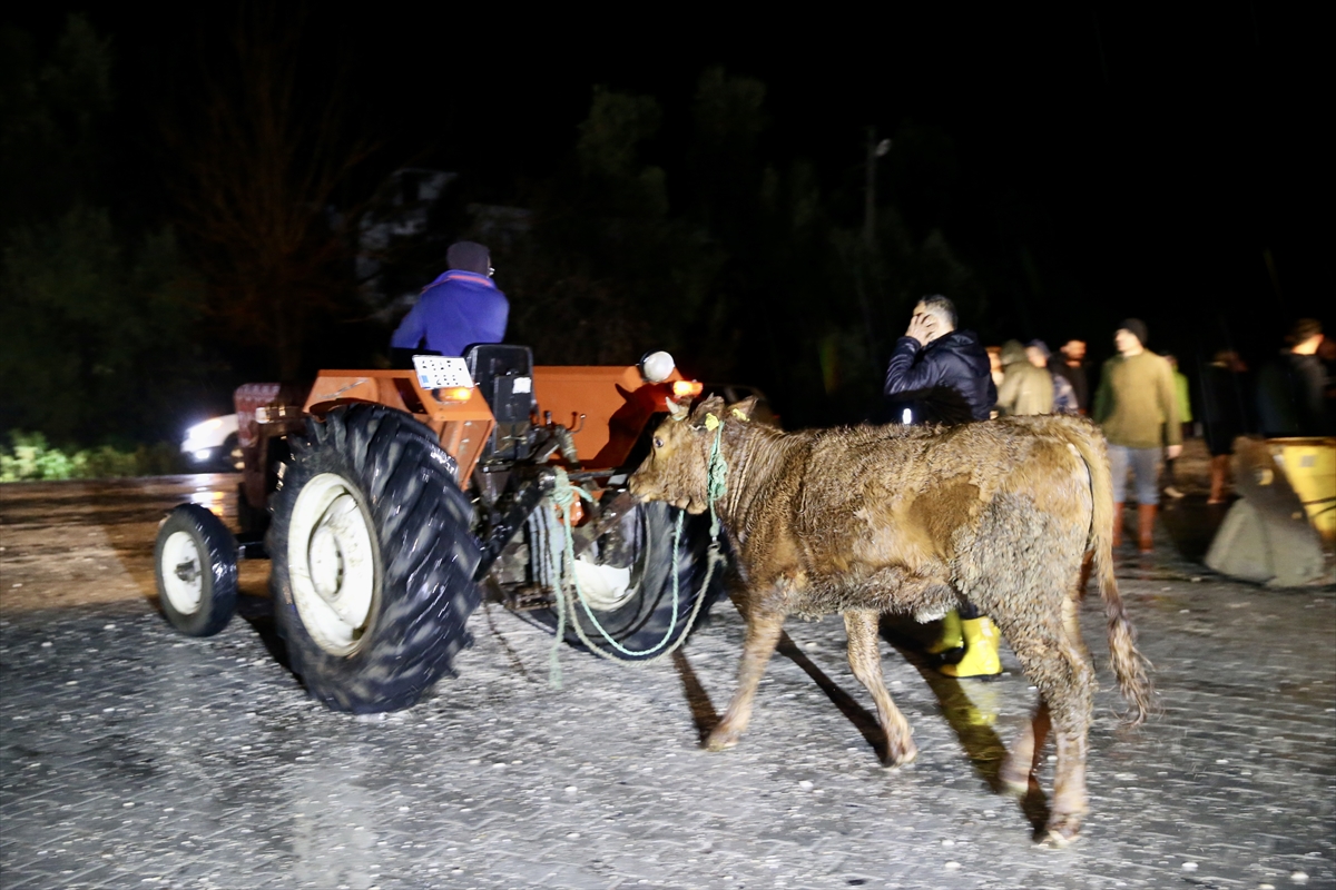 A A 20260213 40549761 40549751 M U G L A N I N S E Y D I K E M E R I L C E S I N D E K I S U B A S K I N I N E D E N I Y L E B A Z I E V L E R T A H L I Y E E D I L D I