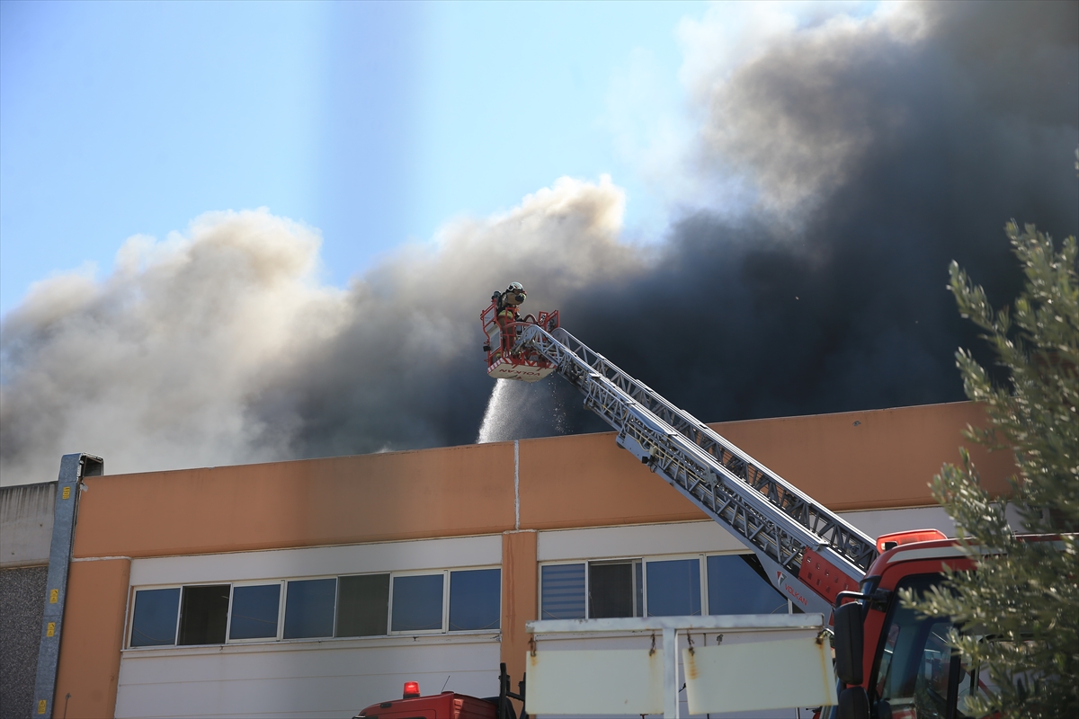 A A 20260223 40644322 40644319 M A N I S A D A S E K E R L E M E F A B R I K A S I N D A Y A N G I N C I K T I