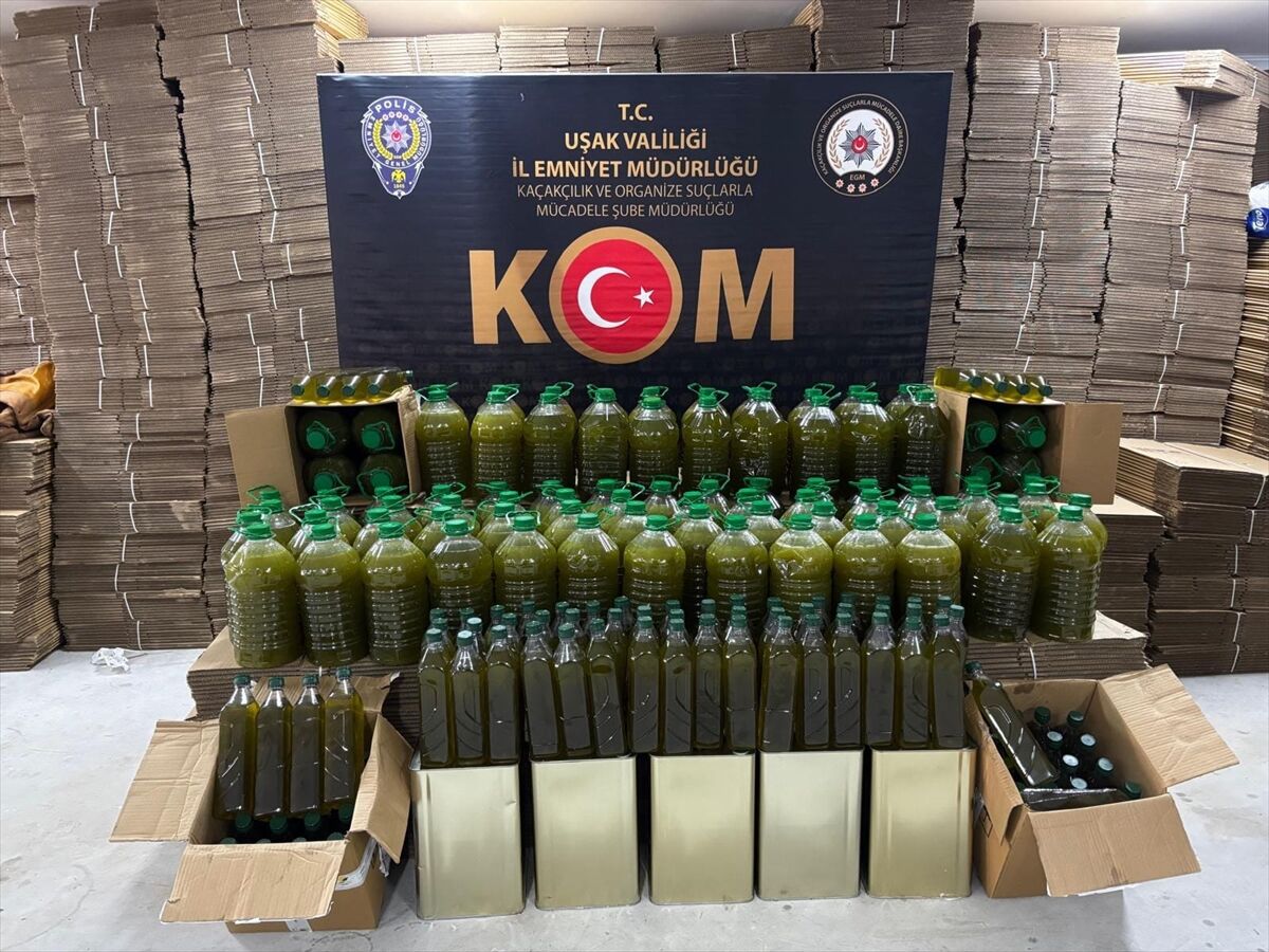 A A 20260224 40652868 40652867 U S A K T A T A K L I T T A G S I S Y A P I L A N 1370 L I T R E Z E Y T I N Y A G I E L E G E C I R I L D I