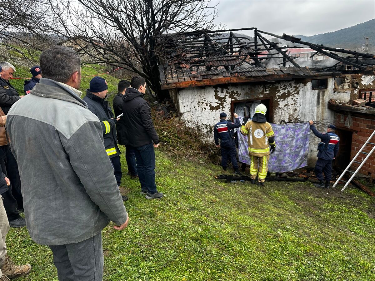 A A 20260228 40689715 40689714 B U R S A D A B I R E V D E C I K A N Y A N G I N D A K A R I K O C A O L D U