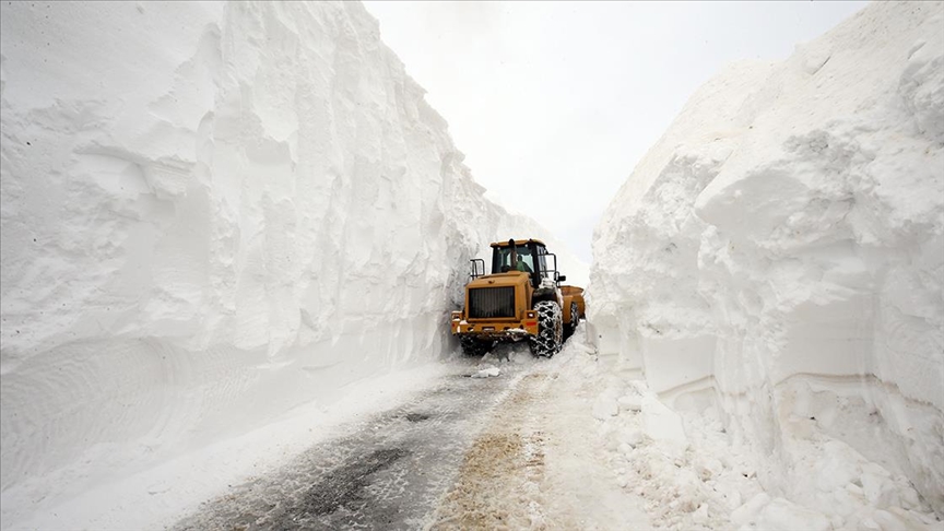 Thumbs B C 03A735Dabf58Edca446580465197B740