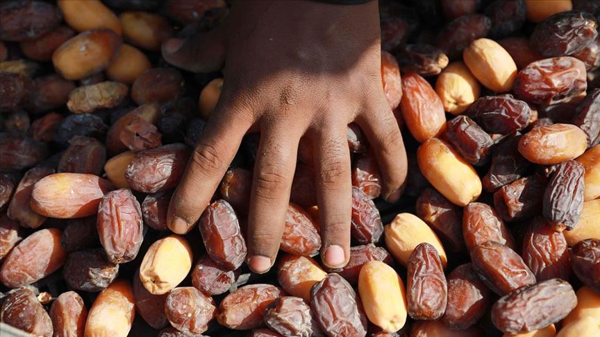 Thumbs B C 09F490D796Aa7C9175B6650B5Bab5E07