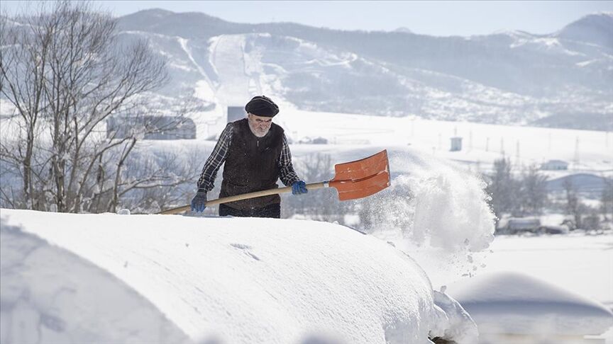 Thumbs B C 3D6795081E77D9Cf119Fb4058765D158