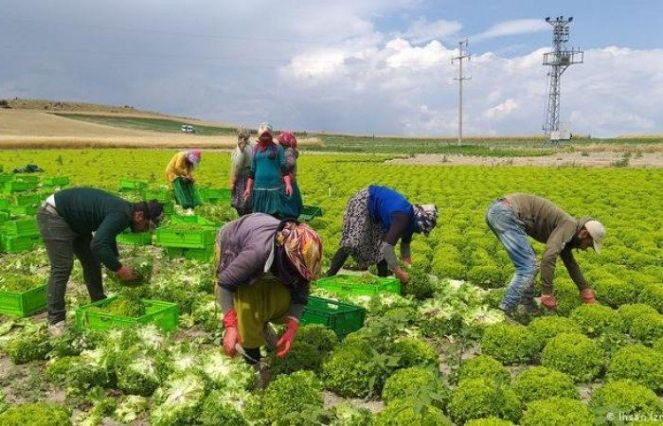 50420231034382248432