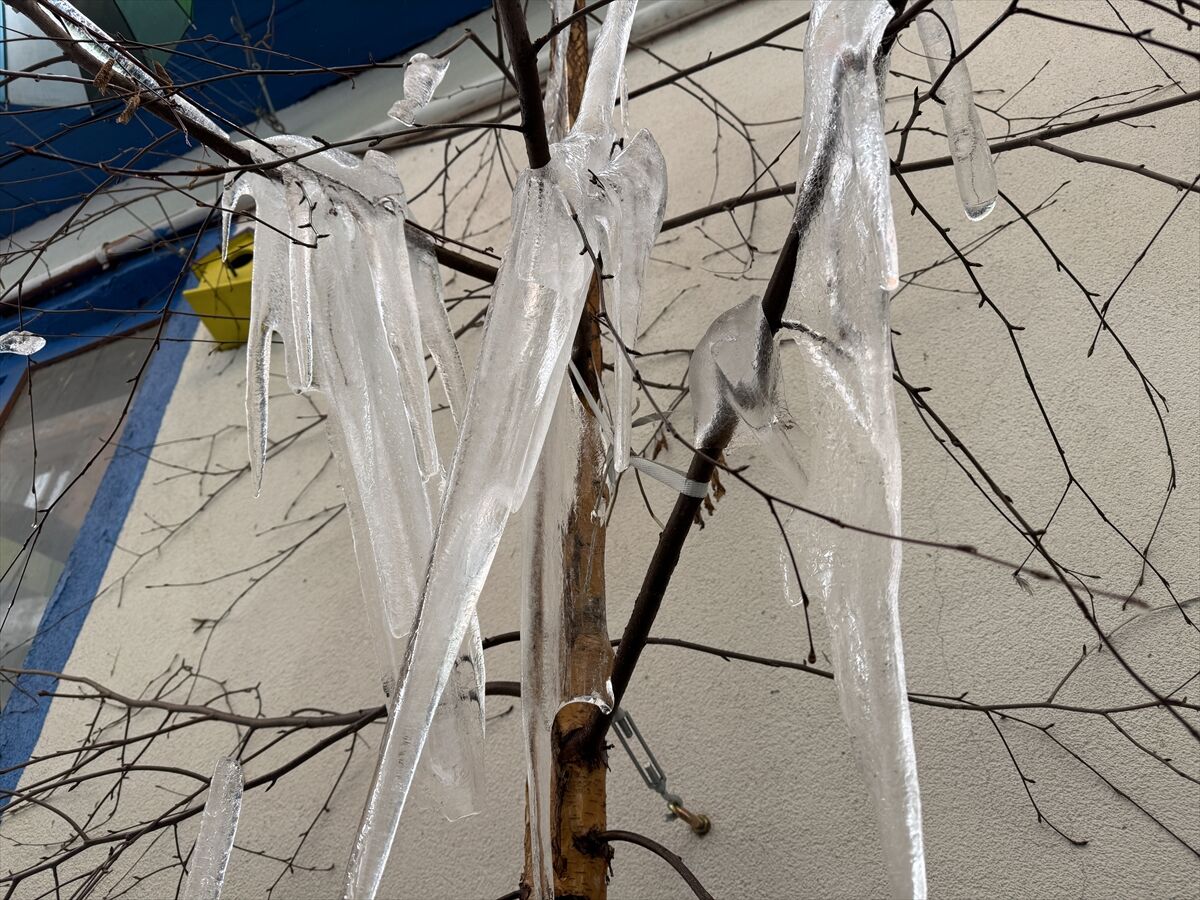 A A 20260316 40835902 40835898 E R Z U R U M D A S O G U K H A V A E T K I L I O L U Y O R