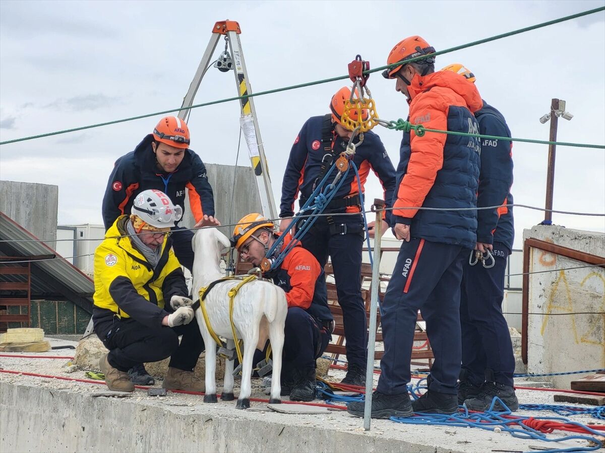 A A 20260316 40836092 40836091 A F A D D A N A F E T L E R D E H A Y V A N L A R I N K O R U N M A S I N A Y O N E L I K U L U S L A R A R A S I P R O J E