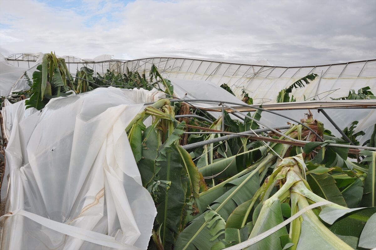 A A 20260322 40897539 40897527 M E R S I N D E S I D D E T L I R U Z G A R V E D O L U N E D E N I Y L E 150 D O N U M S E R A Z A R A R G O R D U