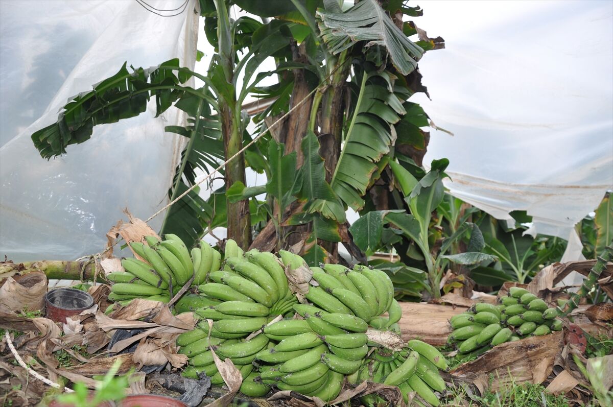 A A 20260322 40897539 40897535 M E R S I N D E S I D D E T L I R U Z G A R V E D O L U N E D E N I Y L E 150 D O N U M S E R A Z A R A R G O R D U