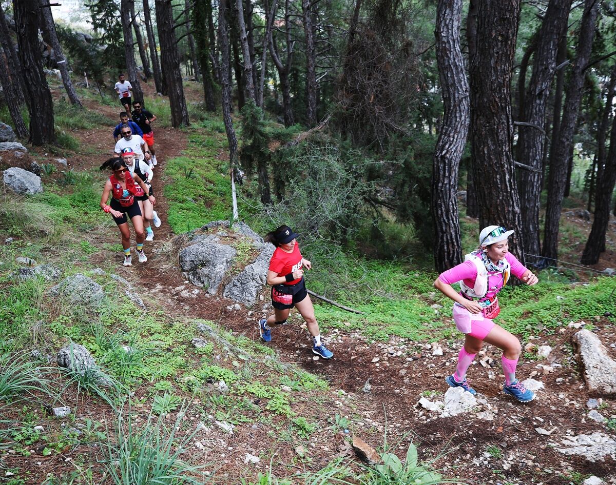 A A 20260328 40947715 40947701 A L A N Y A U L T R A T R A I L Y A R I S L A R I B A S L A D I