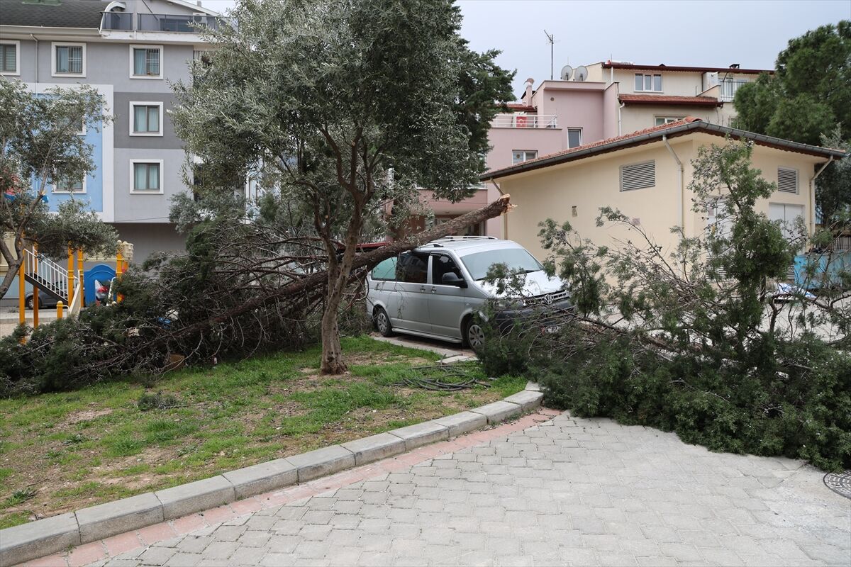 A A 20260328 40949310 40949305 D E N I Z L I D E K U V V E T L I R U Z G A R H A Y A T I O L U M S U Z E T K I L I Y O R