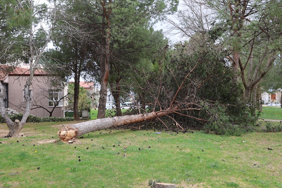 A A 20260328 40949310 40949308 D E N I Z L I D E K U V V E T L I R U Z G A R H A Y A T I O L U M S U Z E T K I L I Y O R