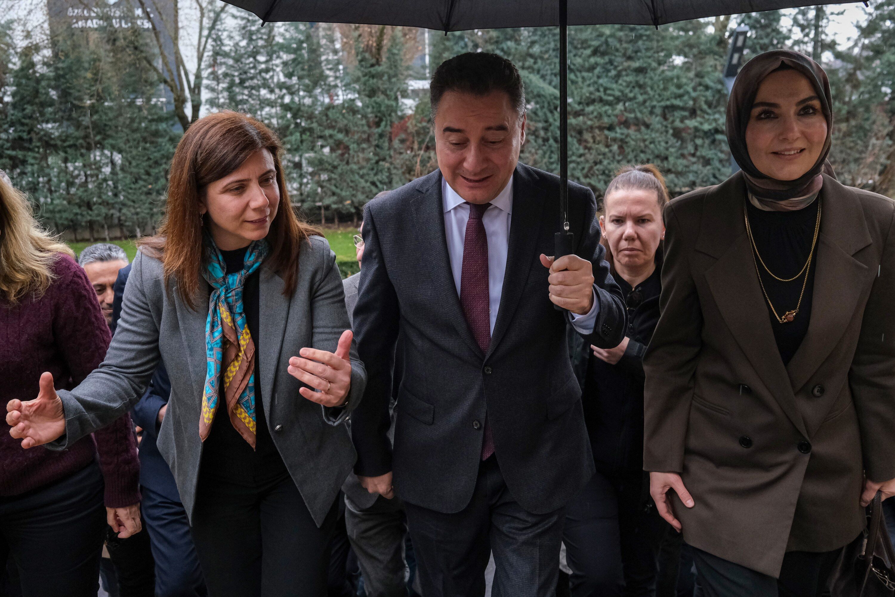 D S C F1915.Jpg 3000X2000