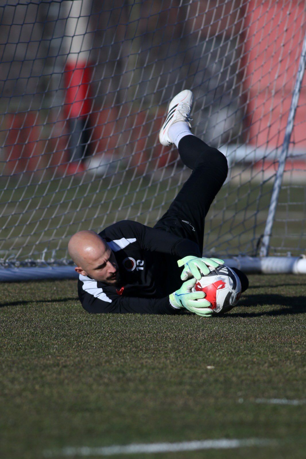 H D E E F E E X Y A Ac Q D N