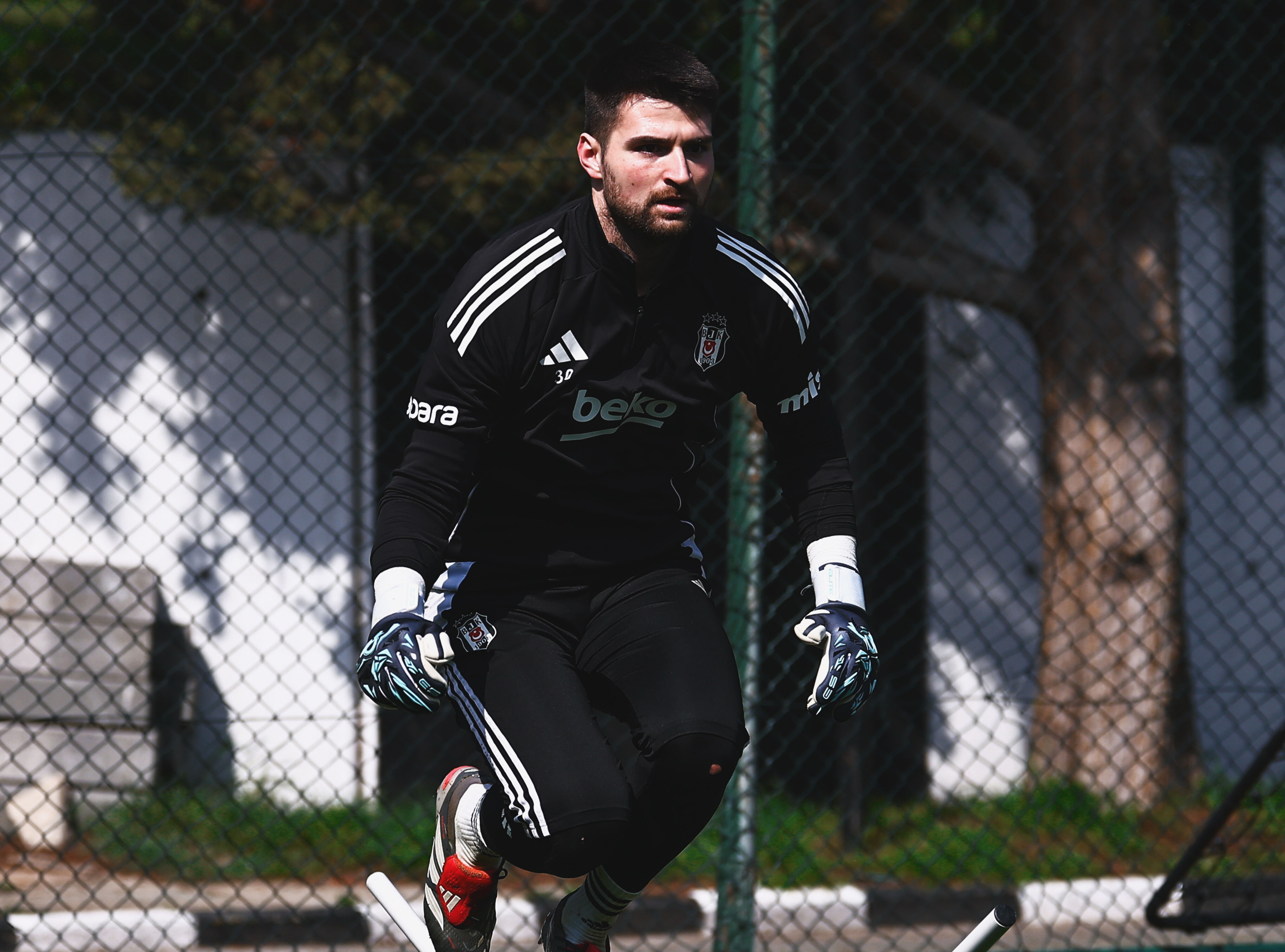 H E Q Gt M La E A A Rw8 T