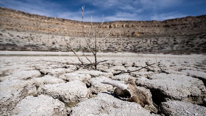 Thumbs B C 2207Fc9A2317E91590F4D4865633C840