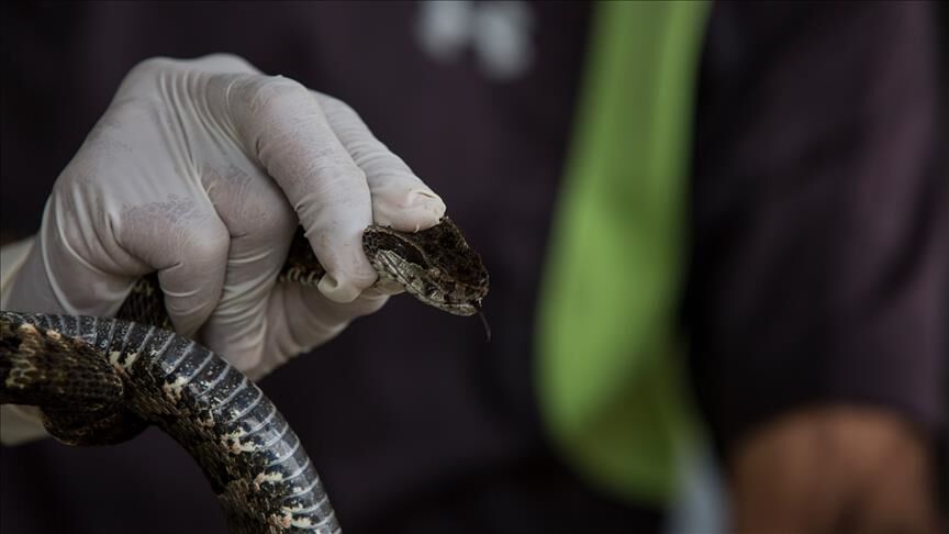 Thumbs B C 63801Fbdf1D7C190Cf4Cf525C6A6C681