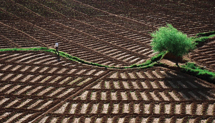 Toprak Koruma Kanunu Ile Toprak Kayiplari Azaldi