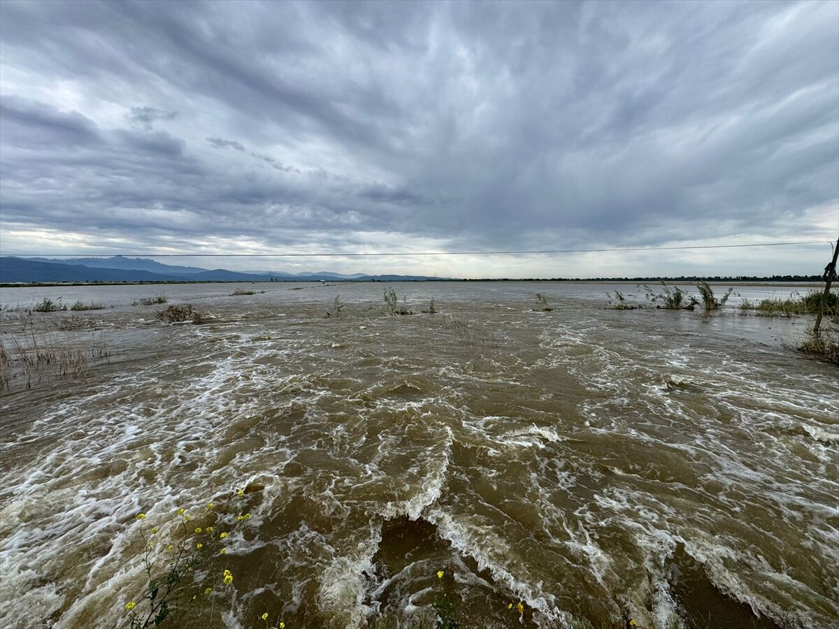 A A 20260409 41062048 41062047 A Y D I N D A B U Y U K M E N D E R E S N E H R I N I N T A S M A S I S O N U C U T A R I M A R A Z I L E R I S U L A R A L T I N D A K A L D I