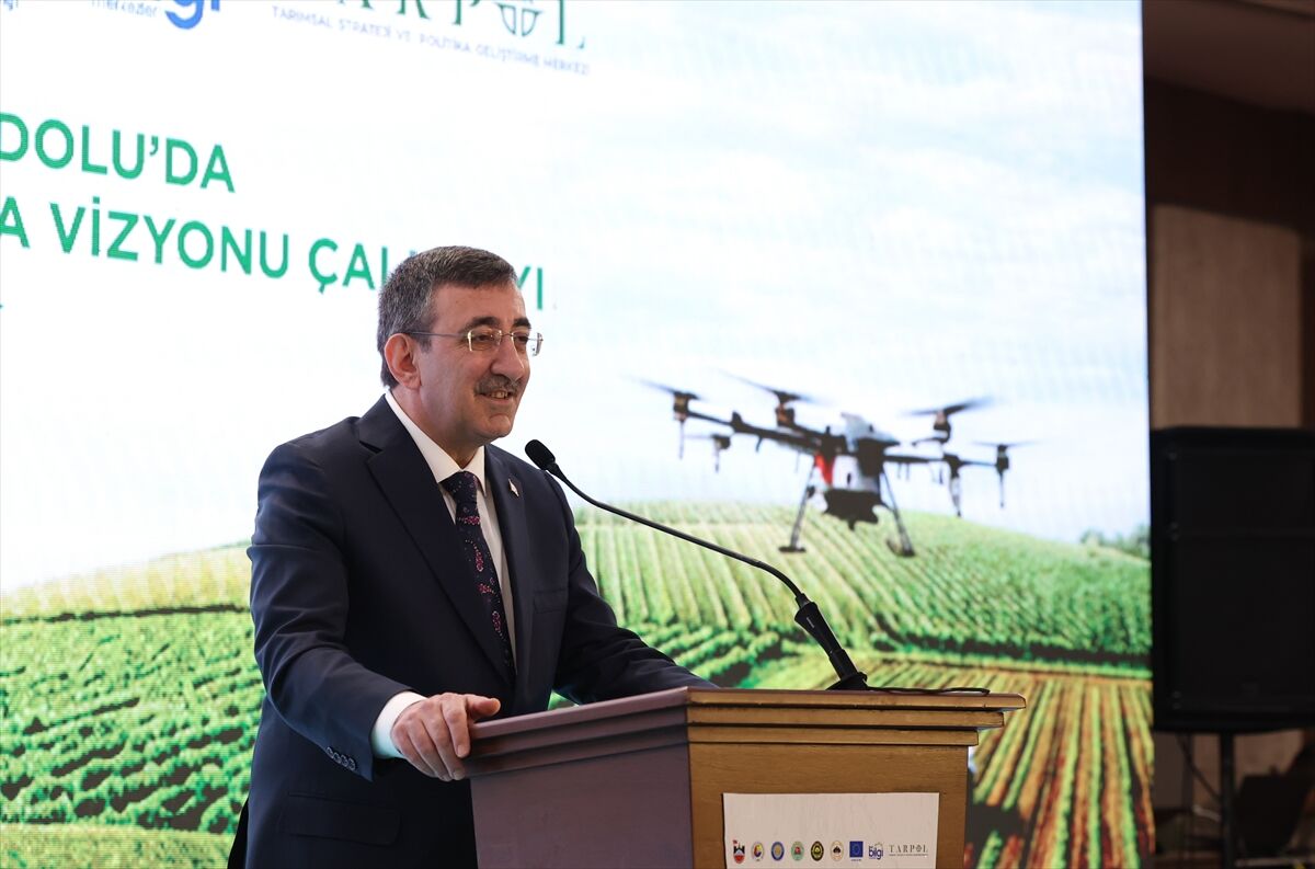 A A 20260411 41078371 41078355 D O G U V E G U N E Y D O G U A N A D O L U D A T A R I M G I D A V E S A N A Y I O D A K L I K A L K I N M A V I Z Y O N U C A L I S T A Y I