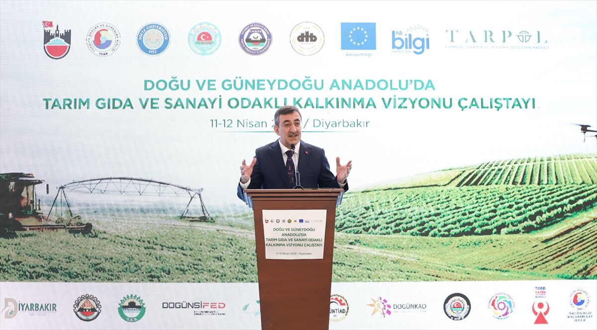 A A 20260411 41078371 41078356 D O G U V E G U N E Y D O G U A N A D O L U D A T A R I M G I D A V E S A N A Y I O D A K L I K A L K I N M A V I Z Y O N U C A L I S T A Y I