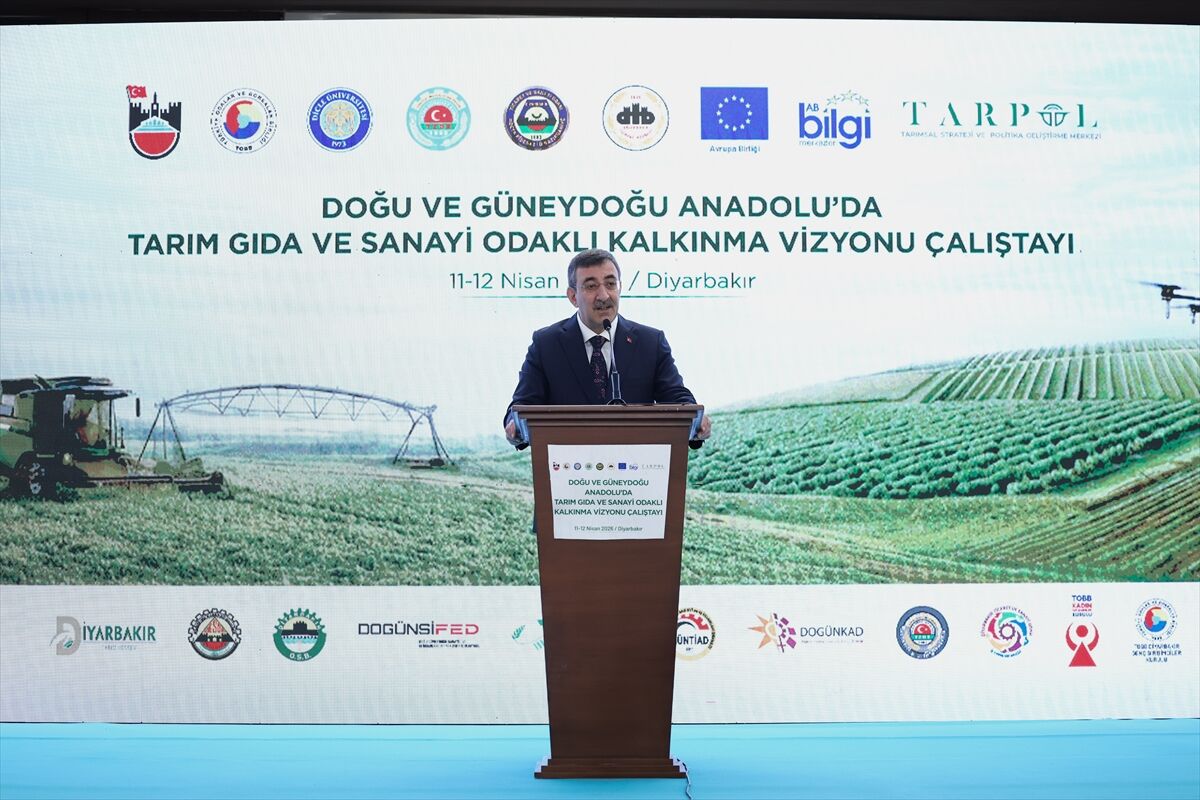 A A 20260411 41078371 41078359 D O G U V E G U N E Y D O G U A N A D O L U D A T A R I M G I D A V E S A N A Y I O D A K L I K A L K I N M A V I Z Y O N U C A L I S T A Y I