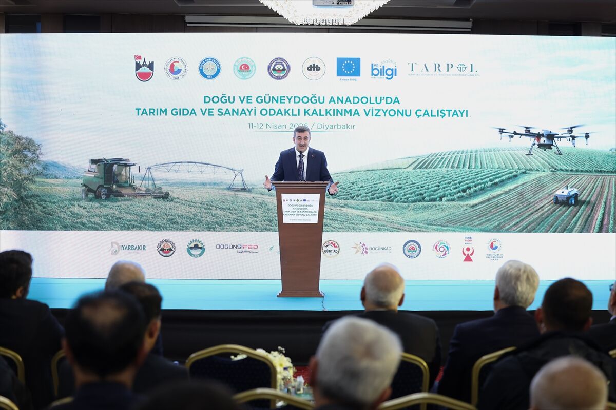 A A 20260411 41078371 41078361 D O G U V E G U N E Y D O G U A N A D O L U D A T A R I M G I D A V E S A N A Y I O D A K L I K A L K I N M A V I Z Y O N U C A L I S T A Y I