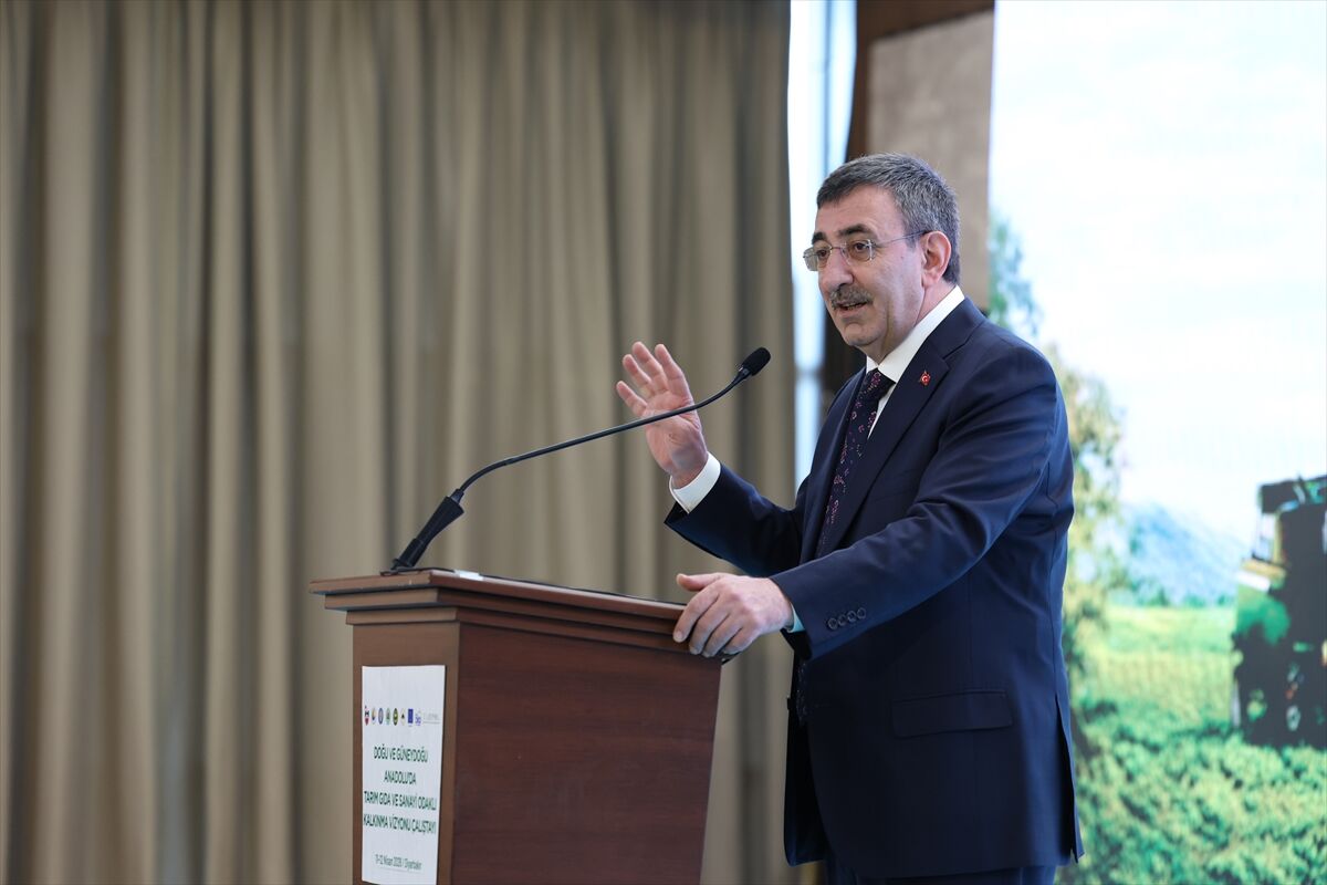 A A 20260411 41078371 41078363 D O G U V E G U N E Y D O G U A N A D O L U D A T A R I M G I D A V E S A N A Y I O D A K L I K A L K I N M A V I Z Y O N U C A L I S T A Y I