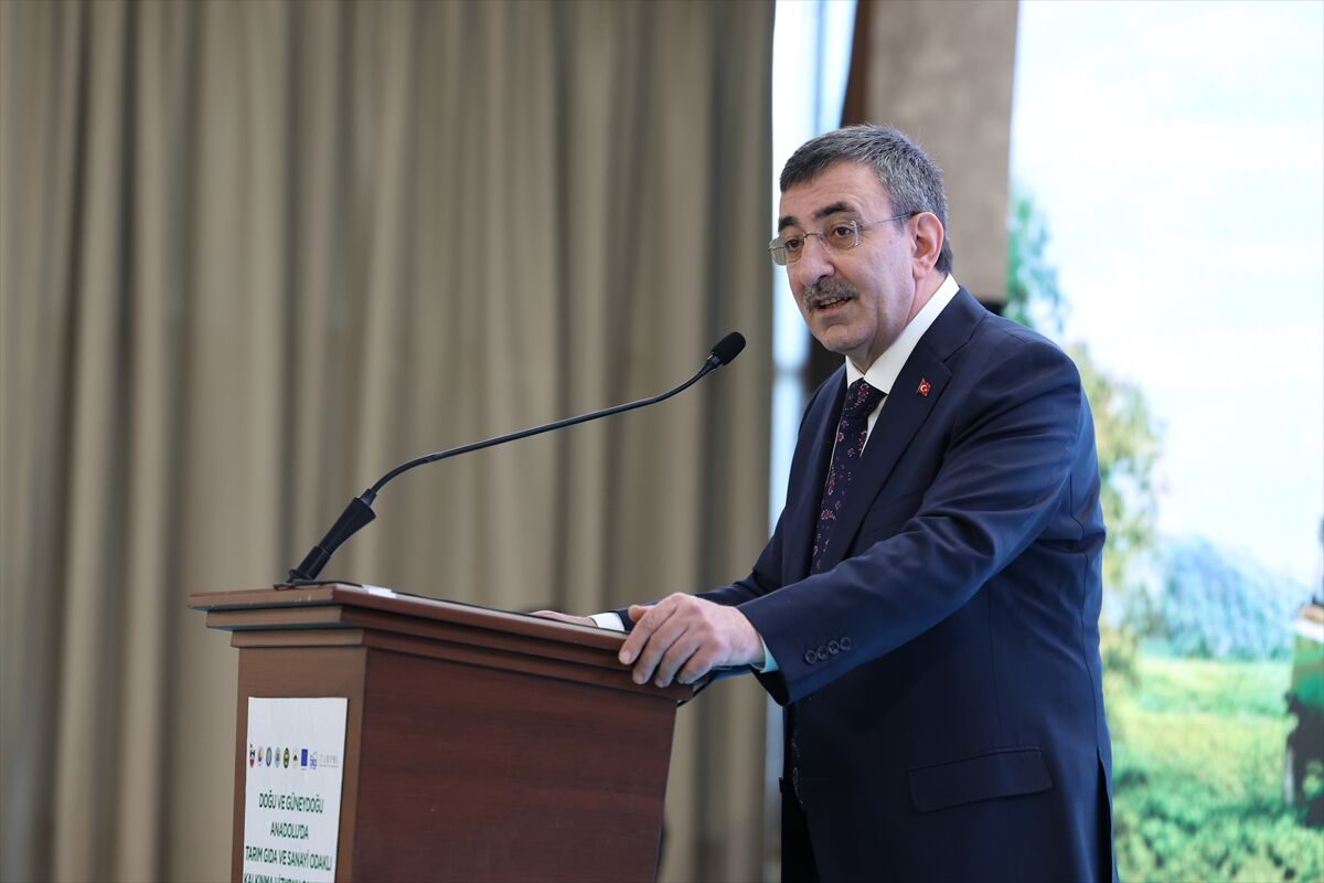 A A 20260411 41078371 41078364 D O G U V E G U N E Y D O G U A N A D O L U D A T A R I M G I D A V E S A N A Y I O D A K L I K A L K I N M A V I Z Y O N U C A L I S T A Y I