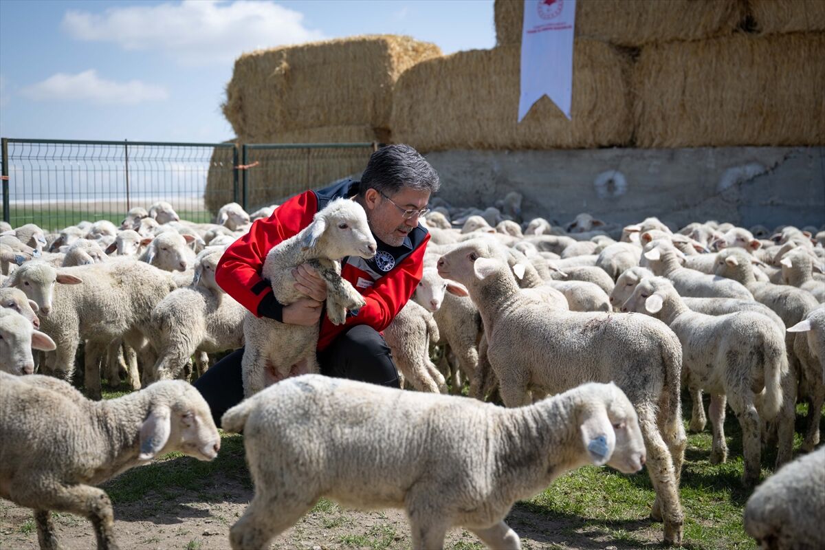 A A 20260413 41095204 41095177 B A K A N Y U M A K L I T I G E M P O L A T L I T A R I M I S L E T M E S I M U D U R L U G U N U Z I Y A R E T E T T I